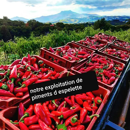 Bed & Breakfast Maison Errientania