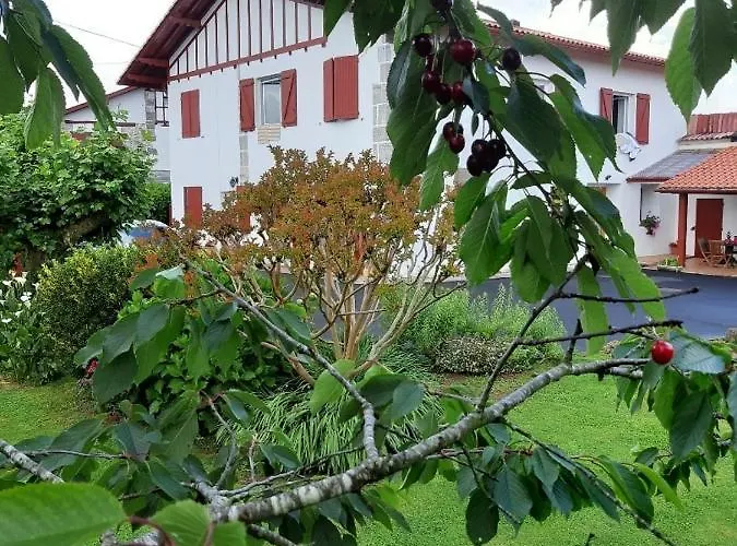 Maison Errientania Oda ve Kahvaltı