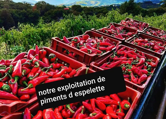 Oda ve Kahvaltı Maison Errientania