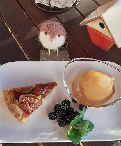 Maison Errientania Oda ve Kahvaltı